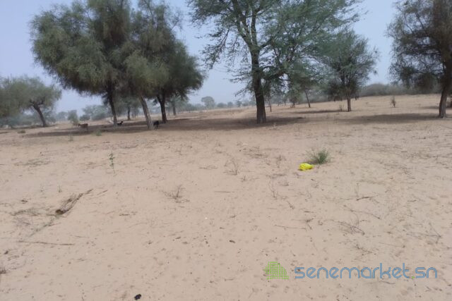terrain-de-208-hectares-vers-baba-garage-big-1