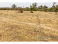 terrain-de-208-hectares-vers-mont-rolland-small-2