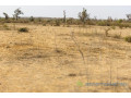 terrain-de-208-hectares-vers-mont-rolland-small-0