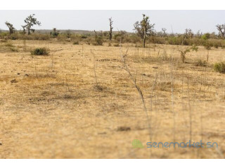 Terrain de 2,08 hectares vers Mont Rolland