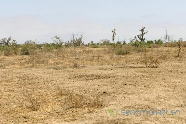 terrain-de-208-hectares-vers-mont-rolland-big-1