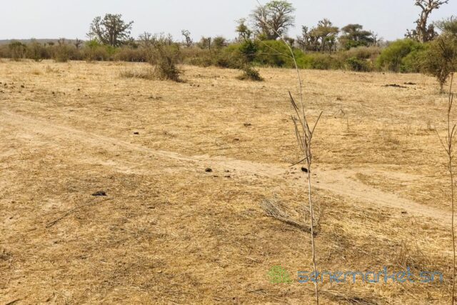 terrain-de-208-hectares-vers-mont-rolland-big-2