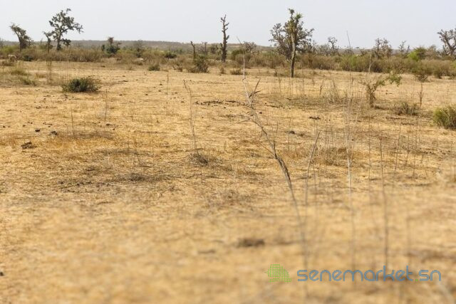 terrain-de-208-hectares-vers-mont-rolland-big-0