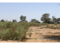 terrain-de-209-hectares-vers-notto-diobass-small-2