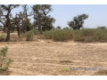 terrain-de-209-hectares-vers-notto-diobass-small-1