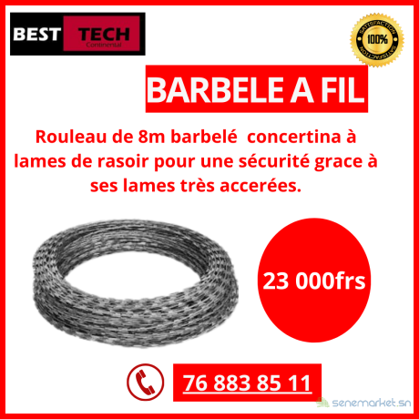 vente-et-installation-de-barbeles-big-0