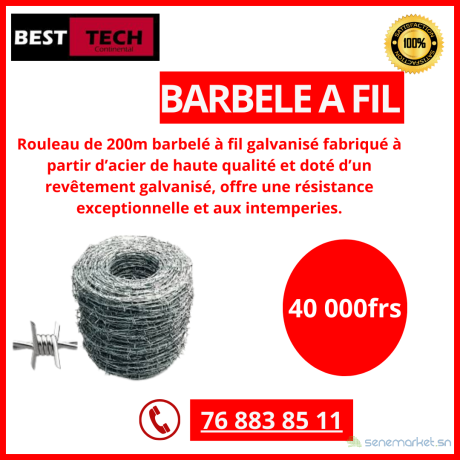 vente-et-installation-de-barbeles-big-1
