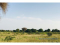 terrain-de-209-hectares-vers-pire-small-1