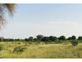 terrain-de-209-hectares-vers-pire-small-0