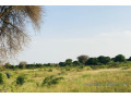 terrain-de-209-hectares-vers-pire-small-2
