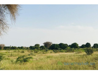 Terrain de 2,09 hectares vers Pire