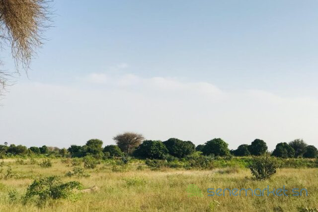 terrain-de-209-hectares-vers-pire-big-1