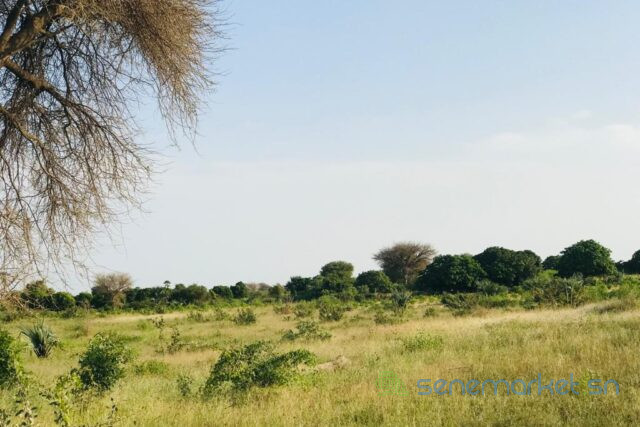 terrain-de-209-hectares-vers-pire-big-2