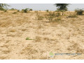 terrain-de-228-hectares-vers-cherif-lo-small-0