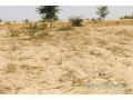 terrain-de-228-hectares-vers-cherif-lo-small-2