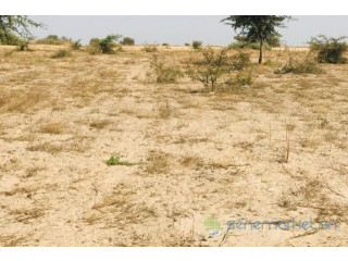 Terrain de 2,28 hectares vers Cherif Lô