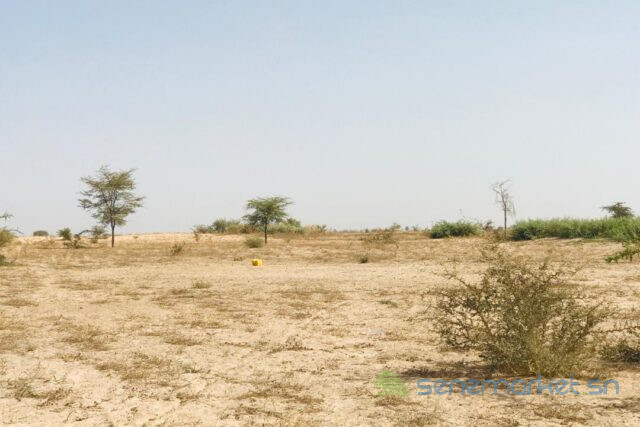 terrain-de-228-hectares-vers-cherif-lo-big-1