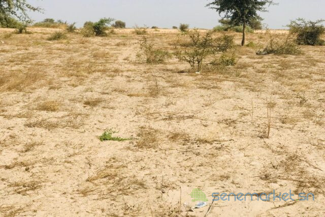 terrain-de-228-hectares-vers-cherif-lo-big-0