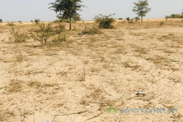 terrain-de-228-hectares-vers-cherif-lo-big-2
