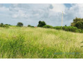 terrain-de-229-hectares-vers-malicounda-small-1