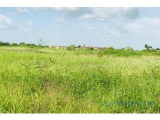 Terrain de 2,29 hectares vers Malicounda
