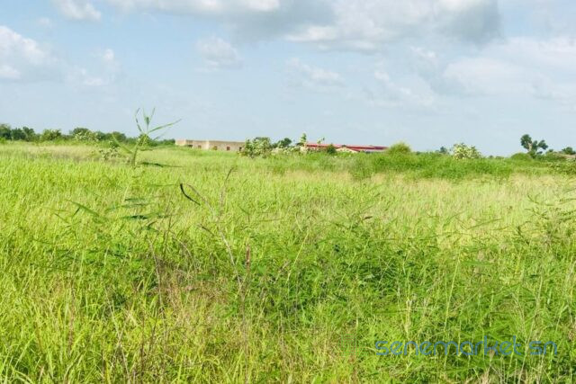 terrain-de-229-hectares-vers-malicounda-big-0