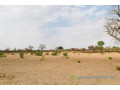 terrain-de-23-hectares-vers-koungheul-small-1