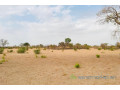 terrain-de-23-hectares-vers-koungheul-small-0