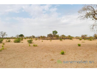 Terrain de 2,3 hectares vers Koungheul