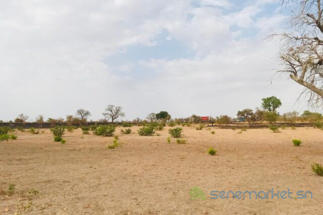 terrain-de-23-hectares-vers-koungheul-big-1