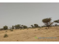 terrain-de-230-hectares-vers-sindia-small-2