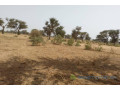 terrain-de-230-hectares-vers-sindia-small-0