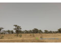terrain-de-230-hectares-vers-sindia-small-1
