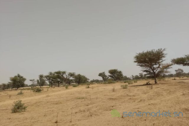 terrain-de-230-hectares-vers-sindia-big-2