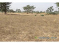 terrain-de-233-hectares-vers-notto-diobass-small-0