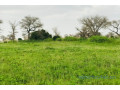 terrain-de-239-hectares-vers-touba-toul-small-1
