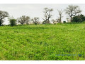 terrain-de-239-hectares-vers-touba-toul-small-2