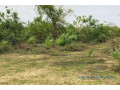 terrain-de-24-hectares-vers-diender-small-2