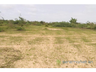 Terrain de 2,4 hectares vers Diender