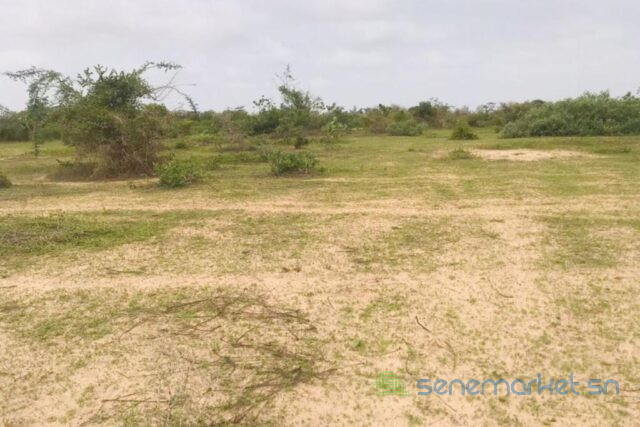 terrain-de-24-hectares-vers-diender-big-1