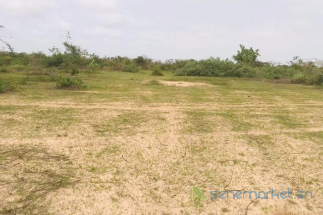 terrain-de-24-hectares-vers-diender-big-0