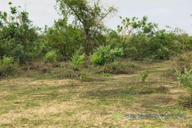 terrain-de-24-hectares-vers-diender-big-2