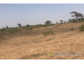 terrain-de-24-hectares-vers-notto-diobass-small-0