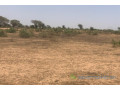 terrain-de-24-hectares-vers-notto-diobass-small-2