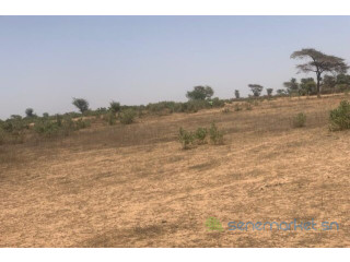 Terrain de 2,4 hectares vers Notto Diobass