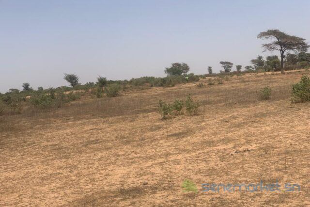 terrain-de-24-hectares-vers-notto-diobass-big-0