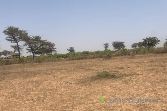 terrain-de-24-hectares-vers-notto-diobass-big-1