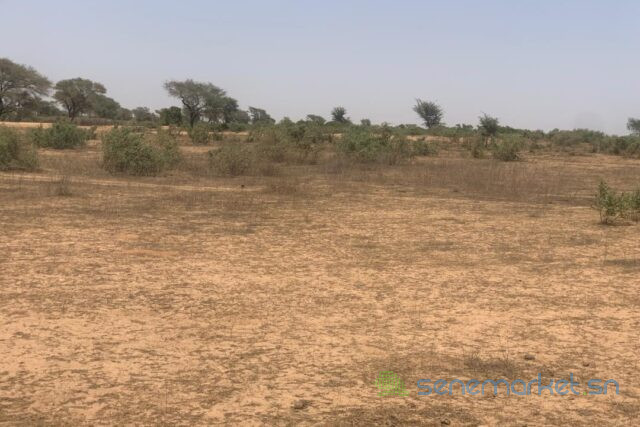 terrain-de-24-hectares-vers-notto-diobass-big-2