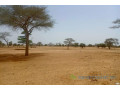 terrain-de-244-hectares-vers-saghata-small-0
