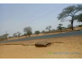 terrain-de-244-hectares-vers-saghata-small-2